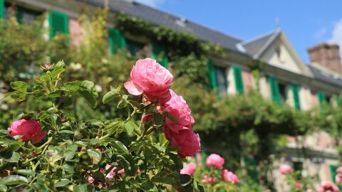 Giverny. Francia