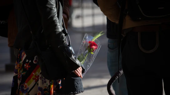 Una mujer en Sant Jordi 2024. Una mujer en Sant Jordi 2024.