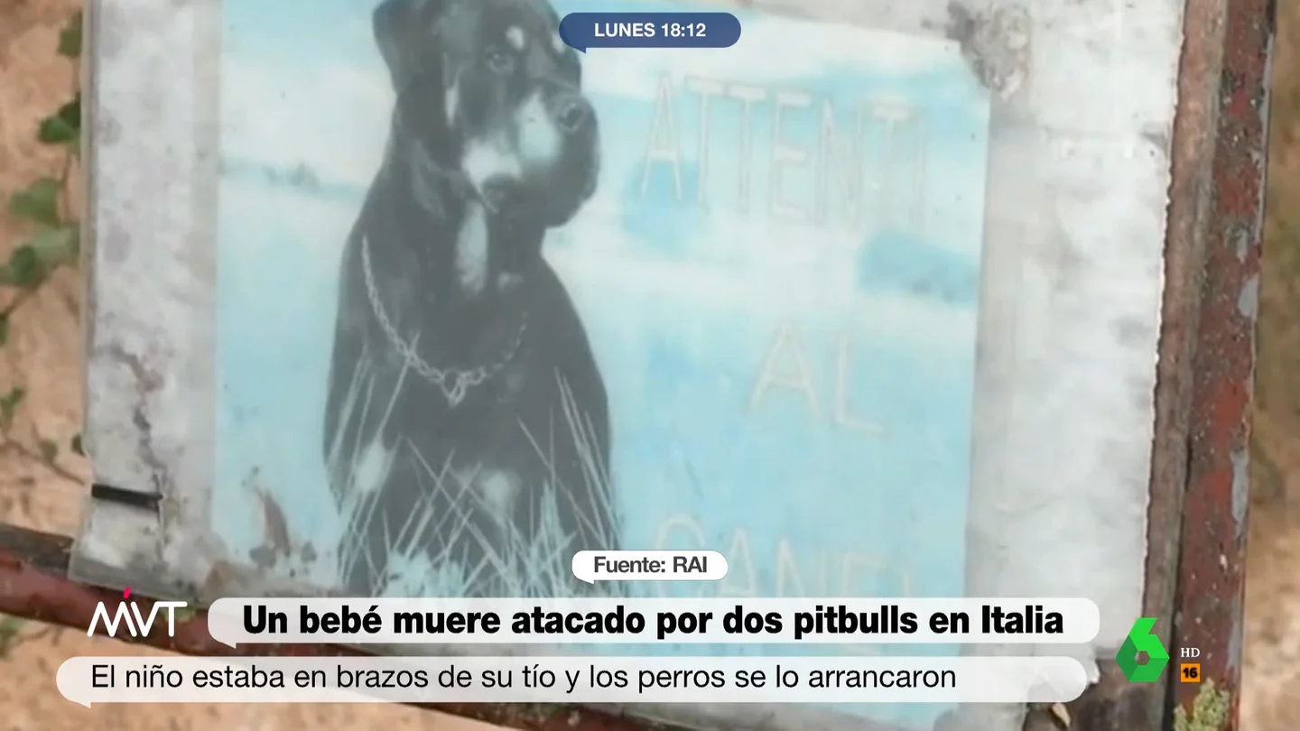 Pitbull2 Pitbull2
