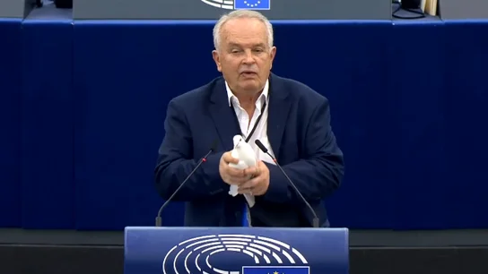 Un eurodiputado de extrema derecha suelta una paloma viva en pleno hemiciclo para pedir la paz en Europa Un eurodiputado de extrema derecha suelta una paloma viva en pleno hemiciclo para pedir la paz en Europa