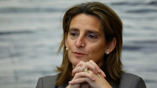 La vicepresidenta tercera y ministra para la Transición Ecológica y el Reto Demográfico, Teresa Ribera, en una fotografía de archivo. La vicepresidenta tercera y ministra para la Transición Ecológica y el Reto Demográfico, Teresa Ribera, en una fotografía de archivo.