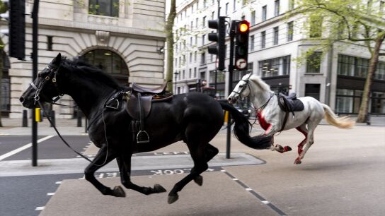 Varios caballos del Ej&eacute;rcito siembran el caos en Londres y dejan heridas a cuatro personas