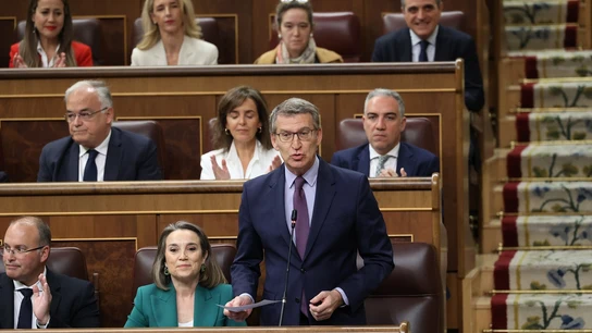 Imagen de archivo de Alberto Núñez Feijóo durante la sesión de control en el Congreso. Imagen de archivo de Alberto Núñez Feijóo durante la sesión de control en el Congreso.