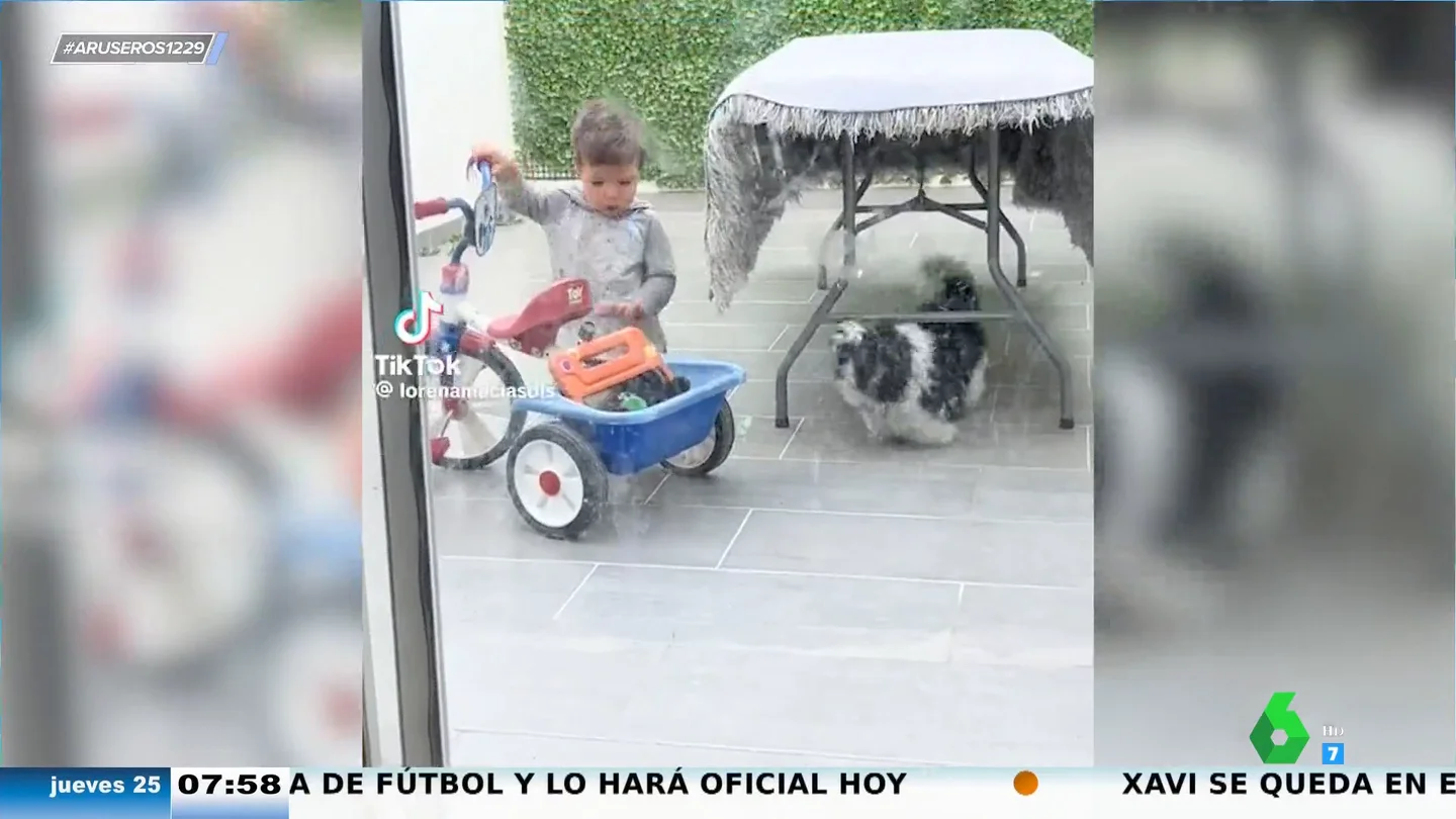 Cuando el perro y el niño se llevan como el perro y el gato: el divertido viral de dos compañeros de juego que no se ponen de acuerdo Cuando el perro y el niño se llevan como el perro y el gato: el divertido viral de dos compañeros de juego que no se ponen de acuerdo