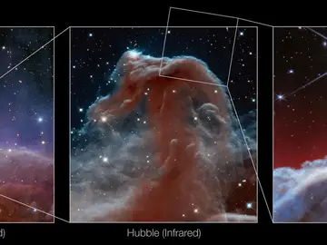 nebulosa Cabeza de Caballo nebulosa Cabeza de Caballo