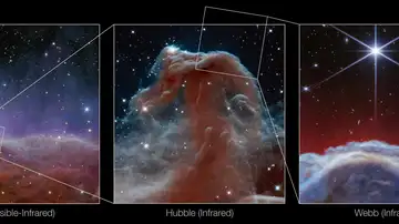 nebulosa Cabeza de Caballo