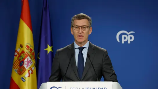 Alberto Núñez Feijóo, líder del PP. Alberto Núñez Feijóo, líder del PP.