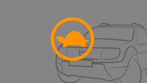 Icono tortuga Icono tortuga