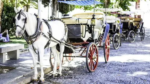 Córdoba Córdoba