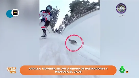 La aparición de una ardilla que provoca el caos en la bajada de un grupo de patinadores La aparición de una ardilla que provoca el caos en la bajada de un grupo de patinadores