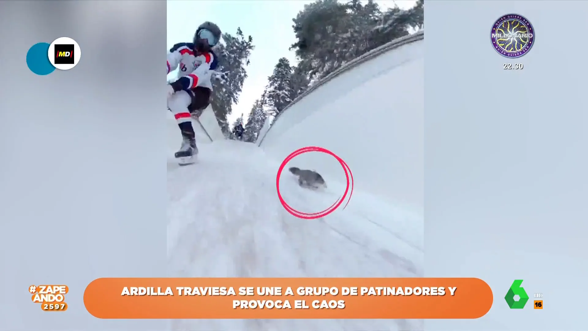 La aparición de una ardilla que provoca el caos en la bajada de un grupo de patinadores