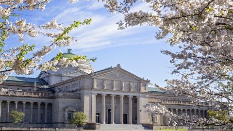 Museo de Ciencias e Industria. Chicago