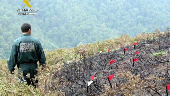 Investigación de un incendio en Cantabria por parte del SEPRONA Investigación de un incendio en Cantabria por parte del SEPRONA