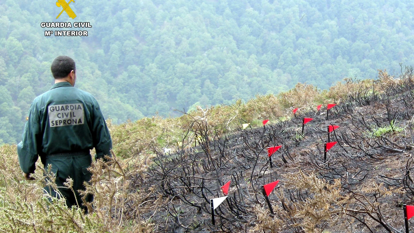 Investigación de un incendio en Cantabria por parte del SEPRONA Investigación de un incendio en Cantabria por parte del SEPRONA
