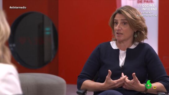 Teresa Ribera, sobre la situaci&oacute;n del PSOE: "Estamos viviendo una estrategia de acoso y derribo contra Pedro S&aacute;nchez"