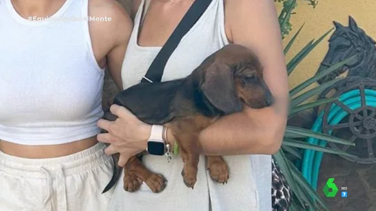 Cachorro que Antonio Tejado regaló a María del Monte Cachorro que Antonio Tejado regaló a María del Monte