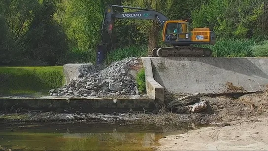 Eliminar presas o azudes, una medida que mejora la biodiversidad y frena el aumento de temperatura del agua Eliminar presas o azudes, una medida que mejora la biodiversidad y frena el aumento de temperatura del agua