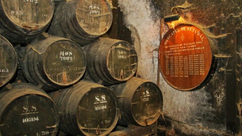 Quinta de José María da Fonseca