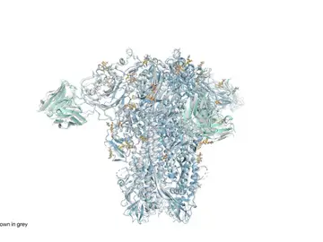 Proteína Spike reconstruida por AlphaFold 3 Proteína Spike reconstruida por AlphaFold 3