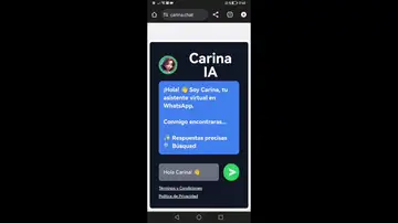 Así es Carina la herramienta de IA que puedes usar como calculadora de whatsapp