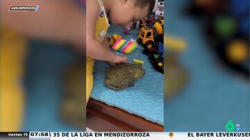 Los aruser@s reaccionan a la sorprendente mascota de este niño: "A ver si le va a dar un beso y va a aparecer una princesa"