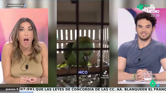 La peor pesadilla para unos padres: este loro aprende a imitar a su bebé llorando La peor pesadilla para unos padres: este loro aprende a imitar a su bebé llorando