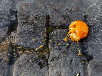 Fruta aplasta Fruta aplasta