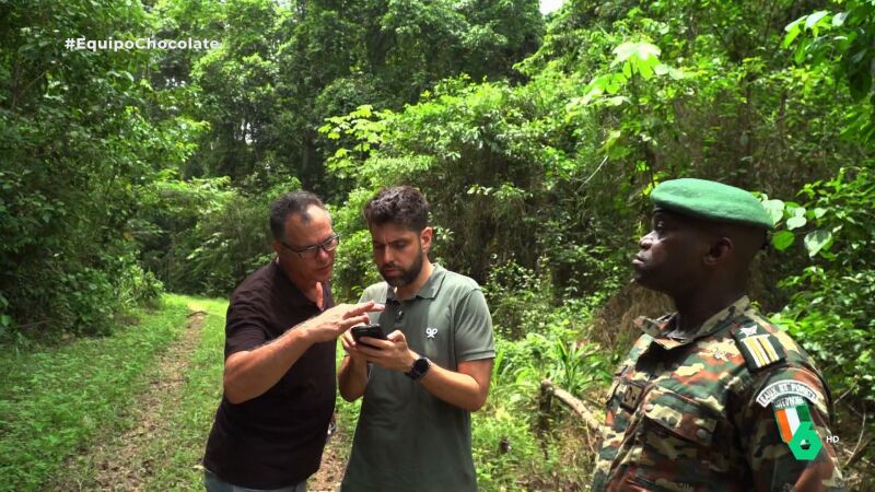 La grave consecuencia de plantar cacao en Costa de Marfil: "Los bosques clasificados se han sido destrozados por su cultivo"
