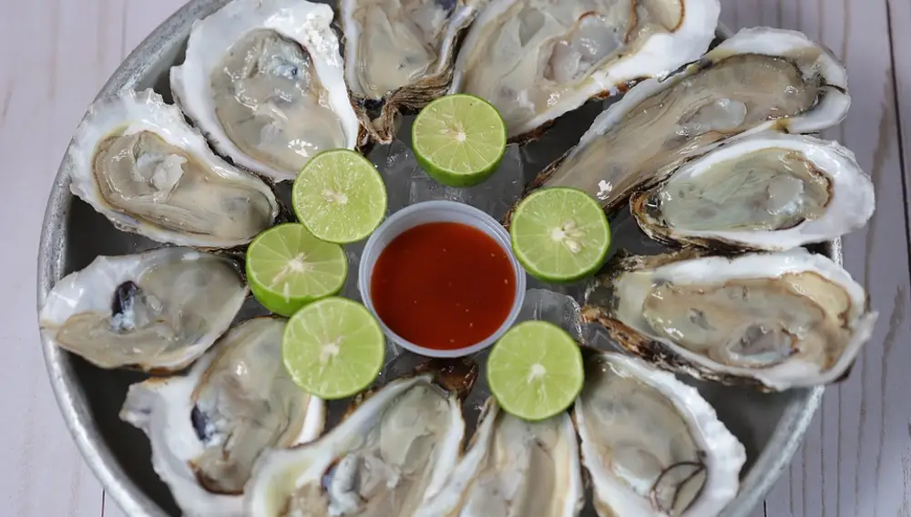 Bandeja de ostras Bandeja de ostras