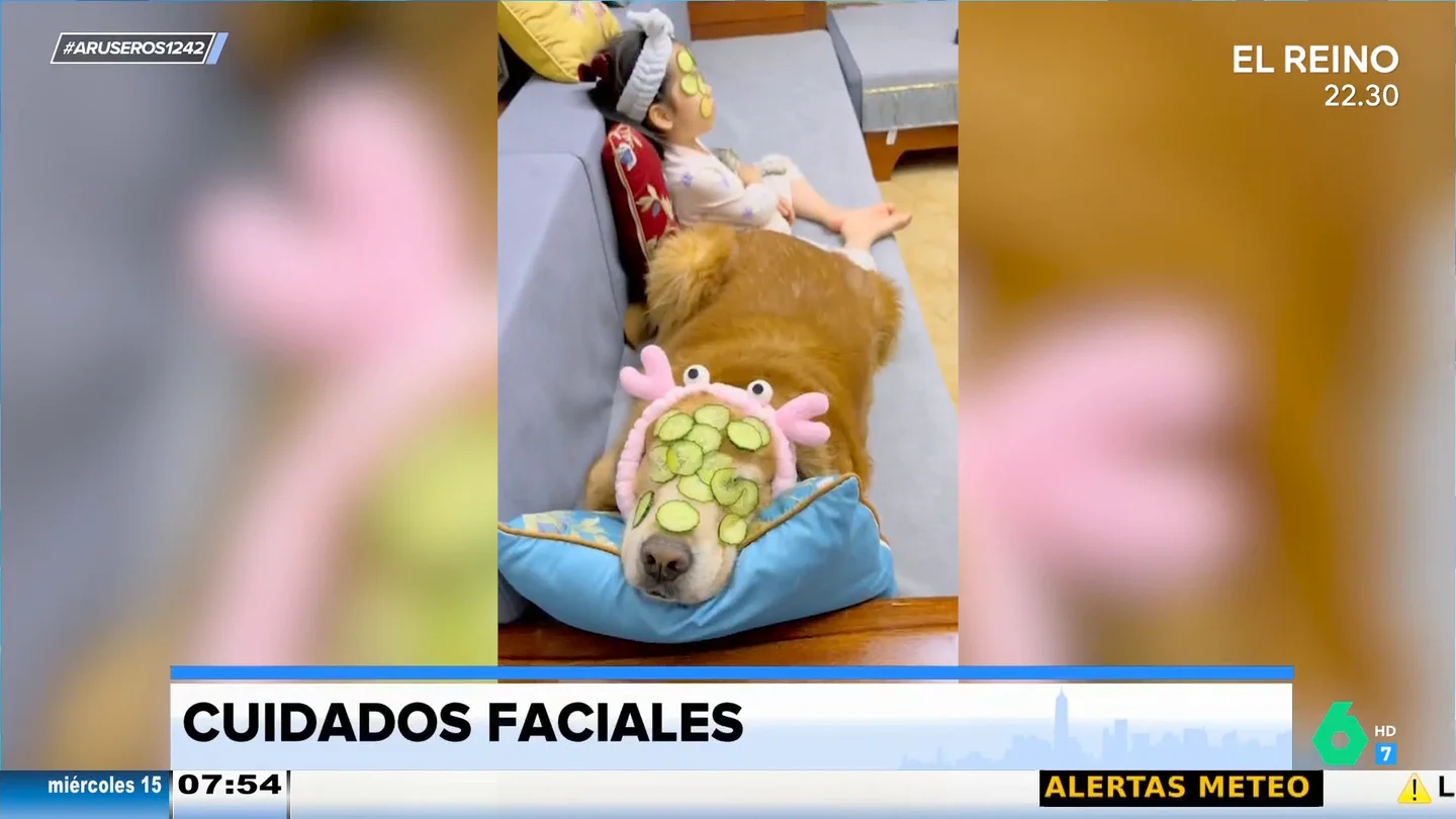 El tierno momento entre una niña y sus mascotas compartiendo un tratamiento facial El tierno momento entre una niña y sus mascotas compartiendo un tratamiento facial