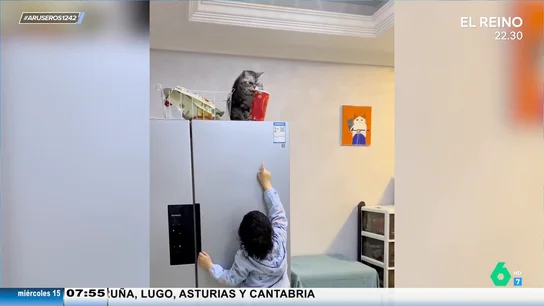 Gato al rescate: un niño le pide a su mascota que le acerque un bote de patatas y no solo se lo baja, también lo abre Gato al rescate: un niño le pide a su mascota que le acerque un bote de patatas y no solo se lo baja, también lo abre