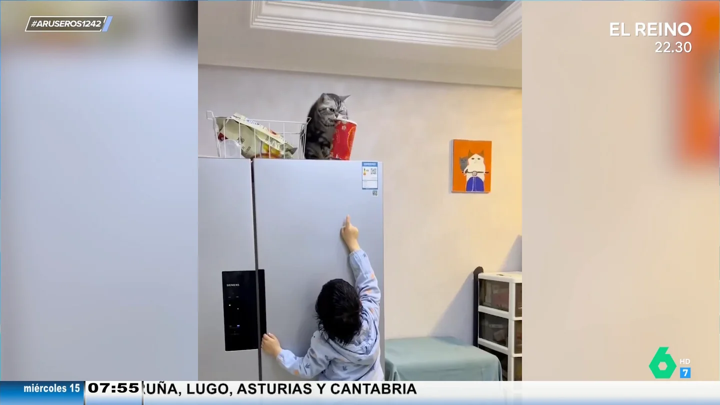 Gato al rescate: un niño le pide a su mascota que le acerque un bote de patatas y no solo se lo baja, también lo abre Gato al rescate: un niño le pide a su mascota que le acerque un bote de patatas y no solo se lo baja, también lo abre