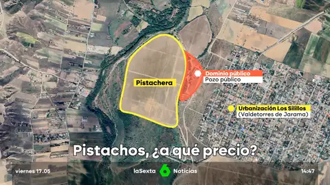 Pistachos, ¿a qué precio?