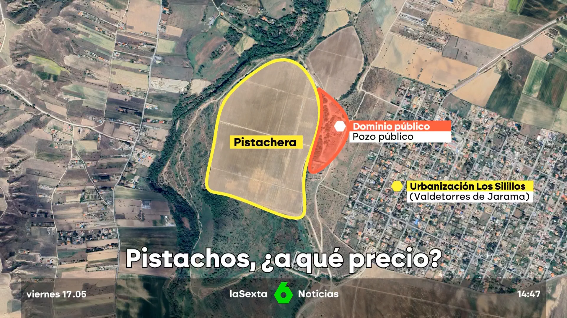 Pistachos, ¿a qué precio?