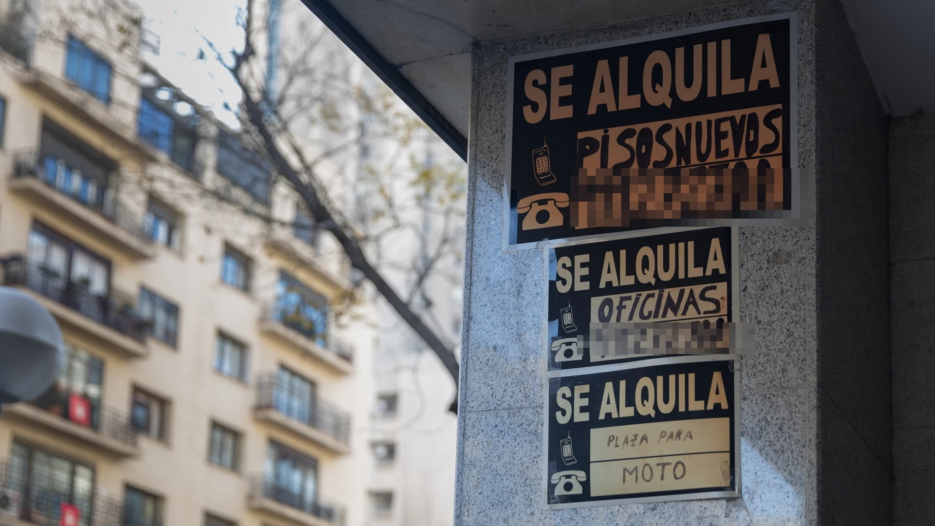 Carteles de 'Se alquila' pegados en un edificio