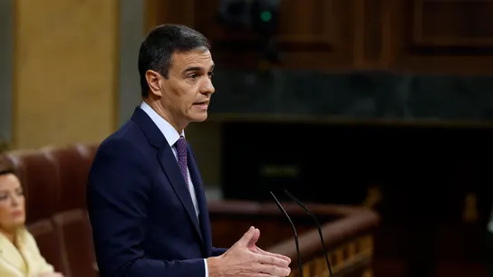 Pedro Sánchez en el Congreso de los Diputados. Pedro Sánchez en el Congreso de los Diputados.
