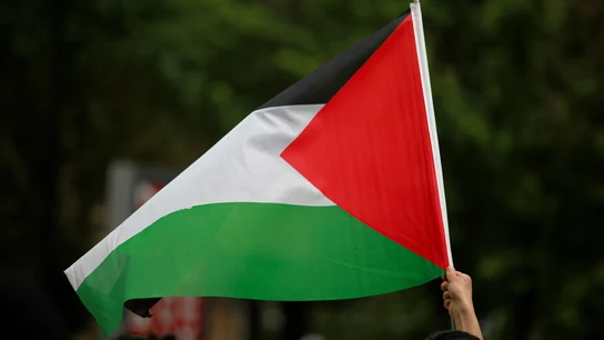 Imagen de archivo de la bandera palestina. Imagen de archivo de la bandera palestina.