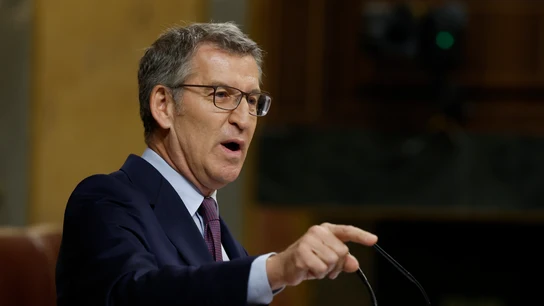 Feijóo en el Congreso Feijóo en el Congreso