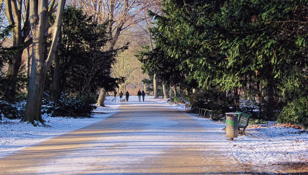 Tiergarten. Berlín Tiergarten. Berlín