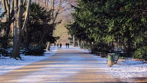 Tiergarten. Berlín Tiergarten. Berlín