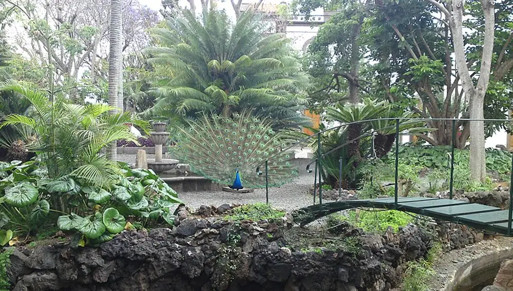 Jardín de la Marquesa de Arucas