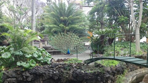 Jardín de la Marquesa de Arucas