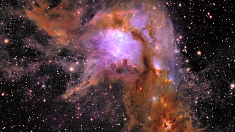 Imagen de la nebulosa Messier 78 captada por el telescopio espacial Euclid.
