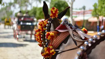 Imagen de una feria de caballos en España