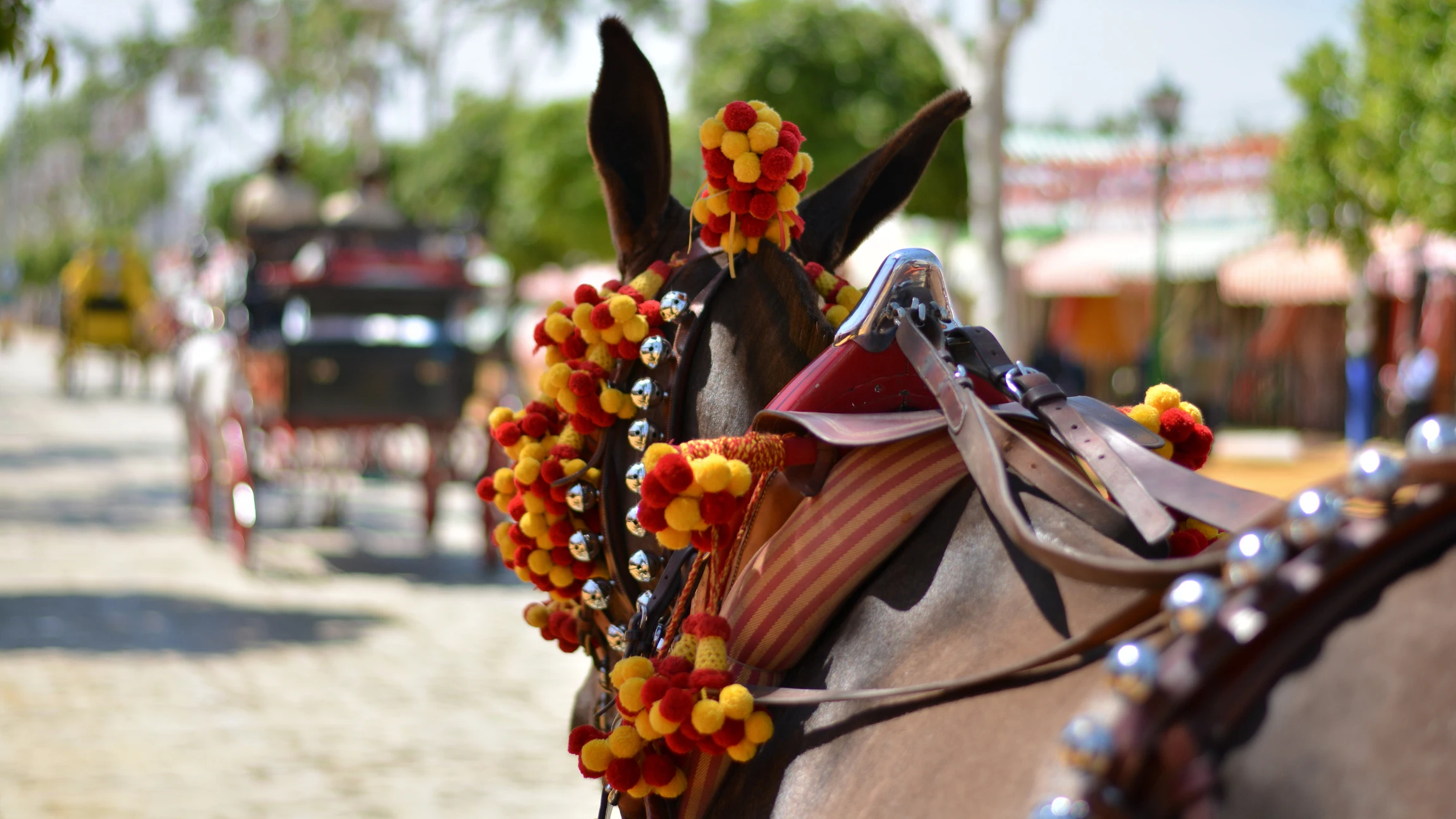 Imagen de una feria de caballos en España Imagen de una feria de caballos en España