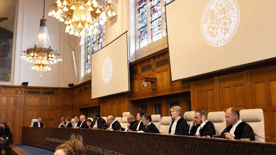 La Corte Internacional de Justicia ordena a Israel detener "inmediatamente" la ofensiva en Rafah La Corte Internacional de Justicia ordena a Israel detener "inmediatamente" la ofensiva en Rafah
