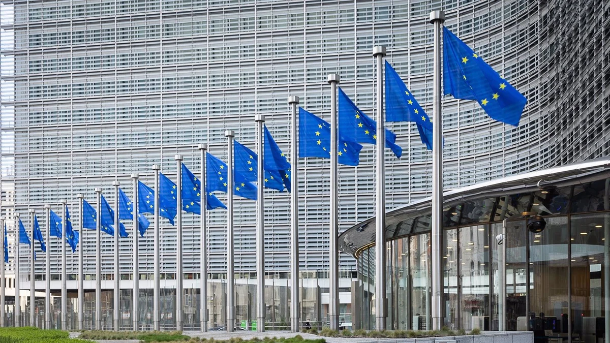 The reasons why Spain increased its participation in the 2019 European Championships (and why it should do more in 2024) The reasons why Spain increased its participation in the 2019 European Championships (and why it should do more in 2024)