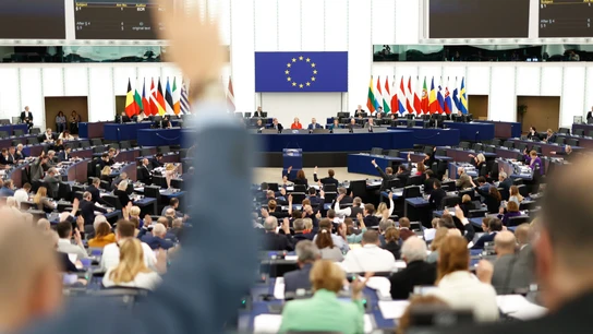 Votación en el pleno del Parlamento Europeo. Votación en el pleno del Parlamento Europeo.