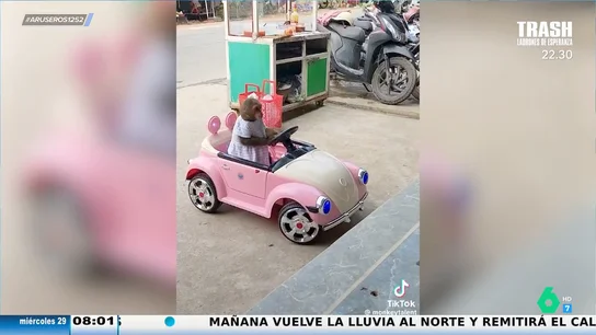 Un mono causa furor haciendo los recados que le manda su dueño montado "el coche de la Barbie" Un mono causa furor haciendo los recados que le manda su dueño montado "el coche de la Barbie"