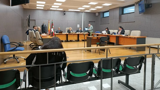 Juicio a la mujer por el robo de un bebé en el hospital de Basurto Juicio a la mujer por el robo de un bebé en el hospital de Basurto